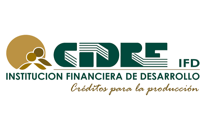 Entidad 5